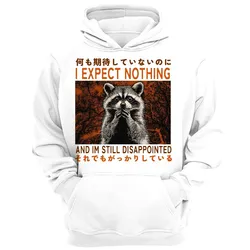 Japan Raccoon Disappointed Weird Harajuku Vintage Japanese Hoodie